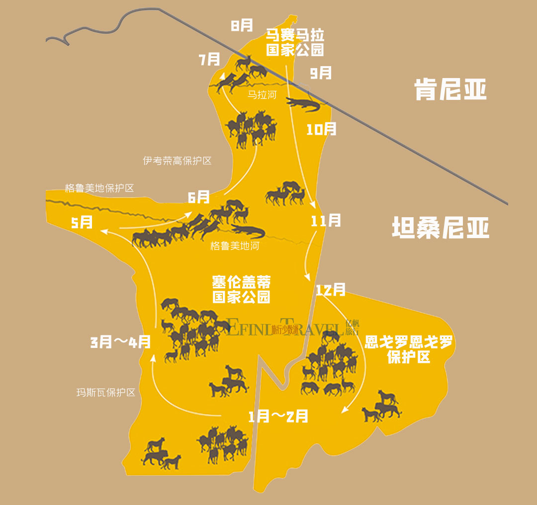 东非动物大迁徙地图