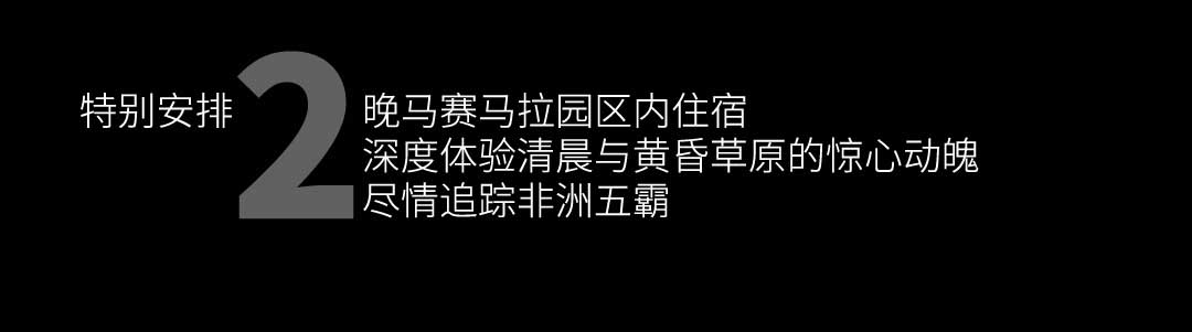 马赛马拉草原追踪非洲五霸