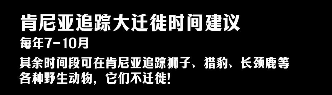 肯尼亚观动物大迁徙的时间