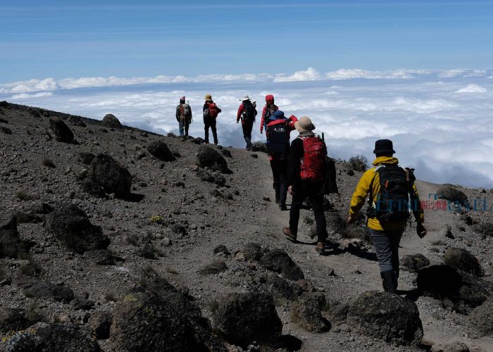 攀登乞力马扎罗山