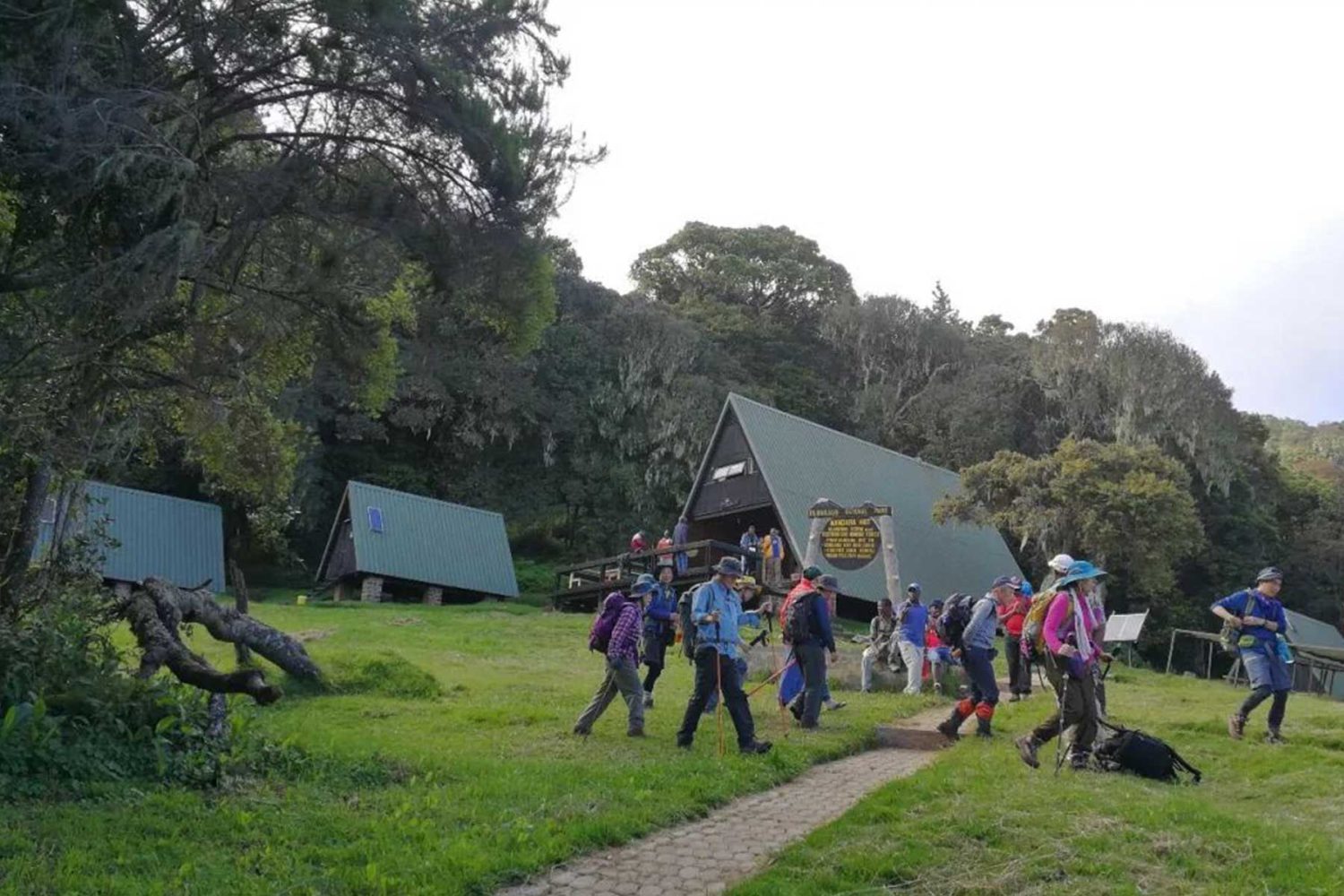 乞力马扎罗山马兰古营地