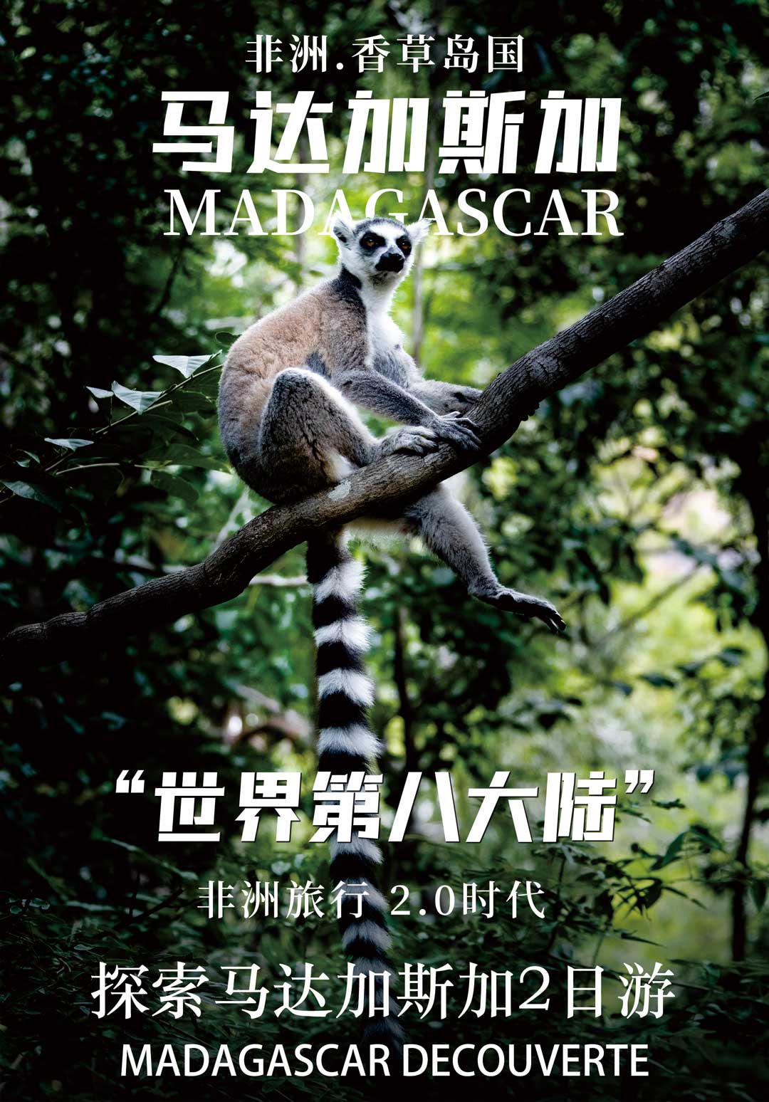 探索马达加斯加旅行