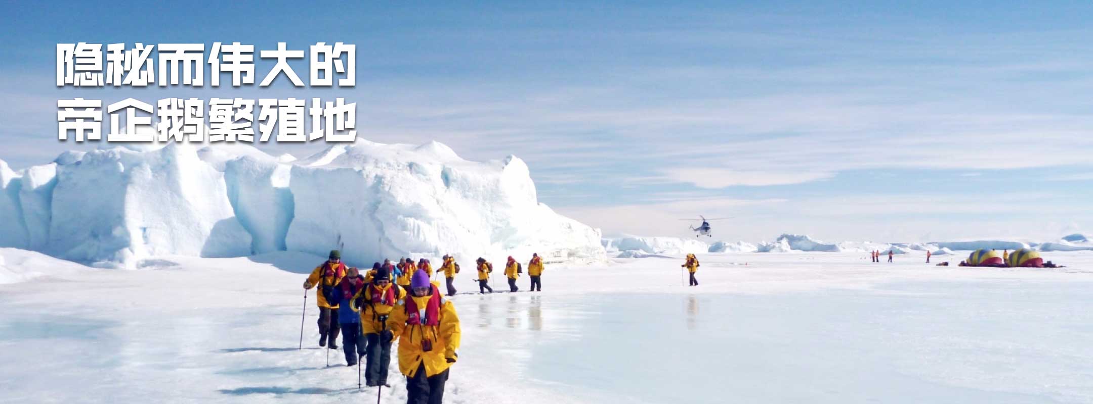 14天寻觅帝企鹅的踪迹，南极威德尔海+雪丘岛，含直升机