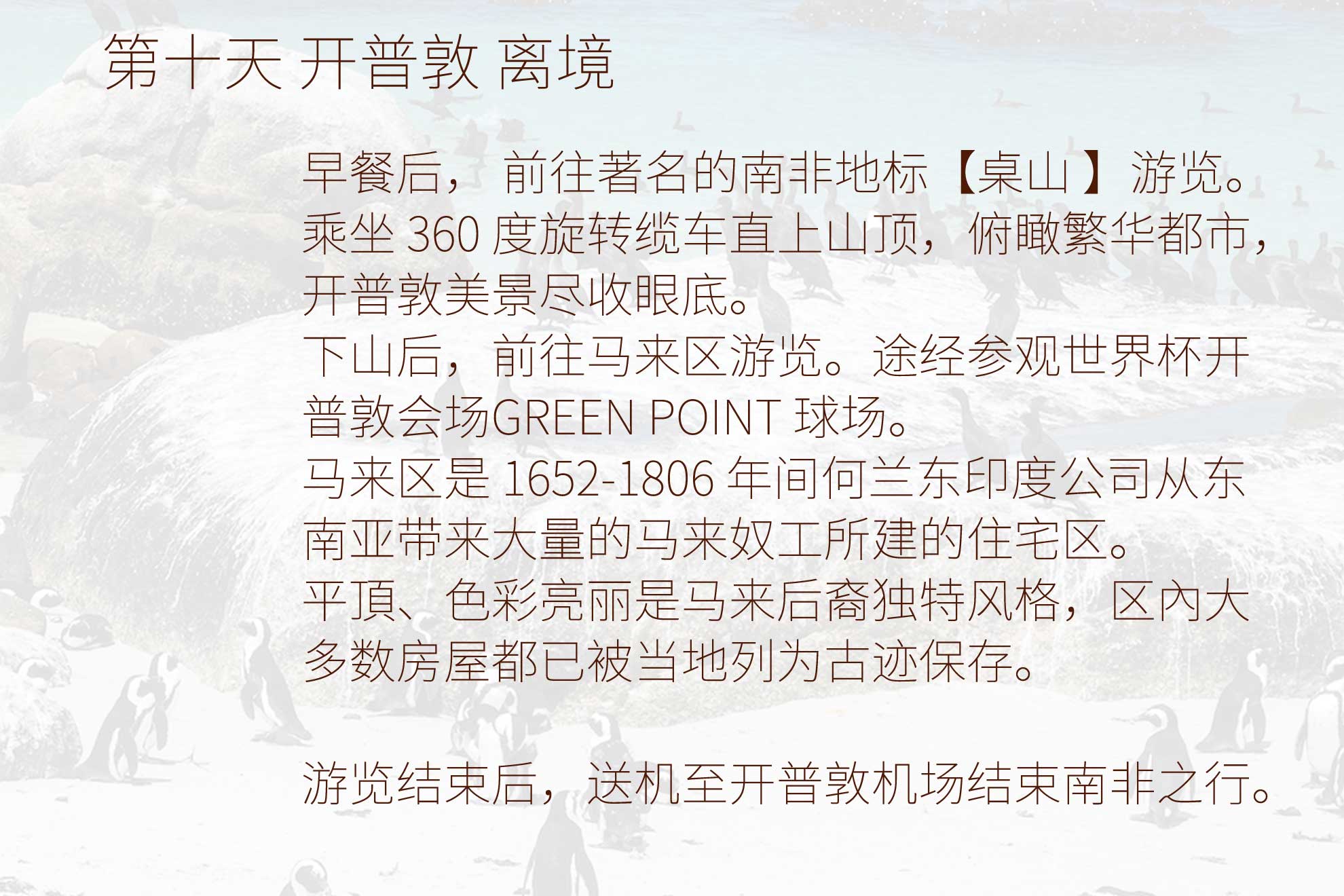 详细南非行程第10天