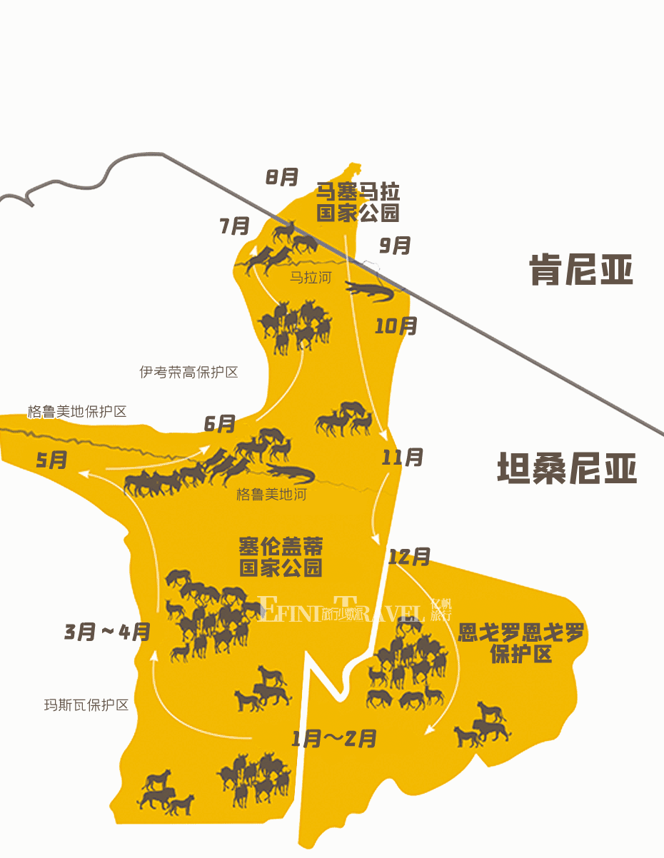 东非动物大迁徙地图