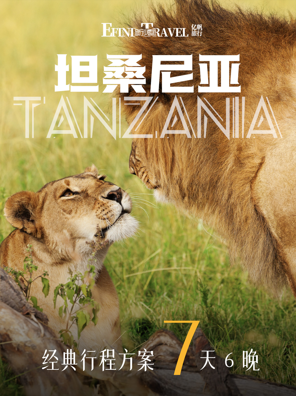 坦桑尼亚动物大迁徙旅游七天行程