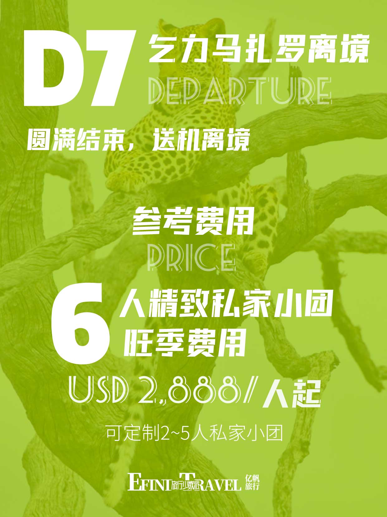坦桑尼亚动物大迁徙费用